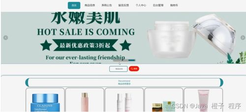 基于Node.js與Vue的護膚品購物系統設計與實現